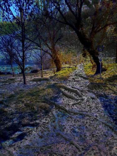 A természet ideje - Gyimóthy Gábor (fotó)