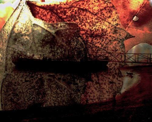 Az indulás pillanatai - Gyimóthy Gábor (fotó)