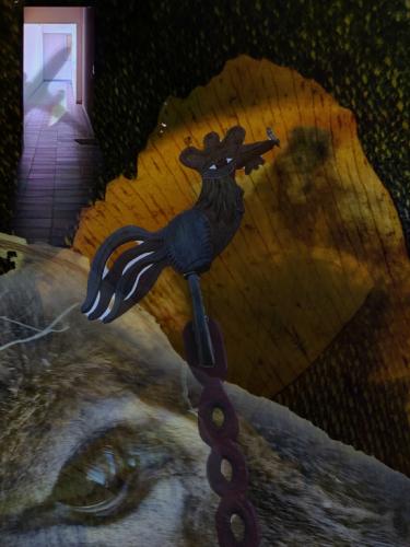 Buñuel járt a fejenben - Gyimóthy Gábor (fotó)