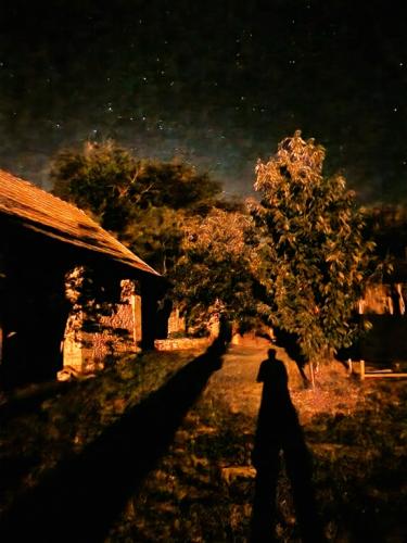 Éjjeli látomás - Gyimóthy Gábor (fotó)