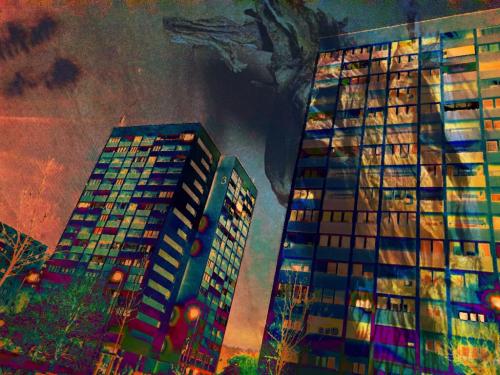 Életforma 1 - Gyimóthy Gábor (fotó)