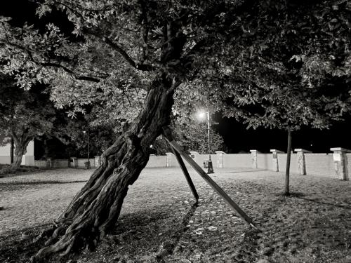 Erőviszonyok - Gyimóthy Gábor (fotó)