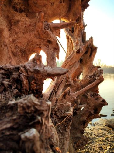 Hősök 1 - Gyimóthy Gábor (fotó)