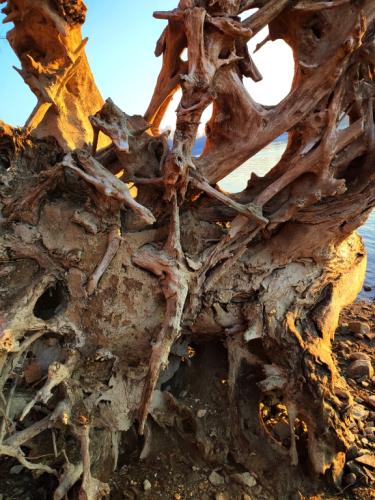 Hősök 2 - Gyimóthy Gábor (fotó)