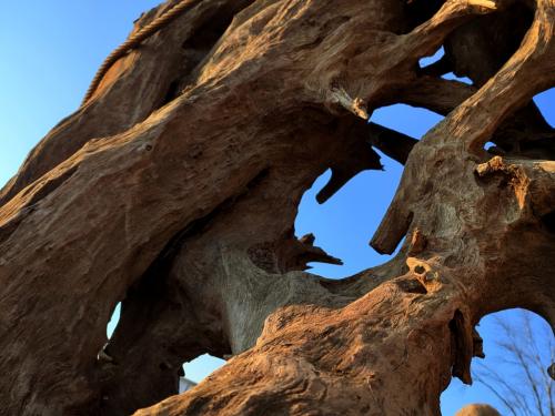 Hősök 3 - Gyimóthy Gábor (fotó)