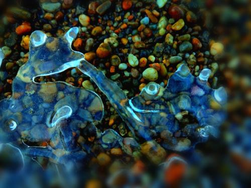 Jégmese - Gyimóthy Gábor (fotó)