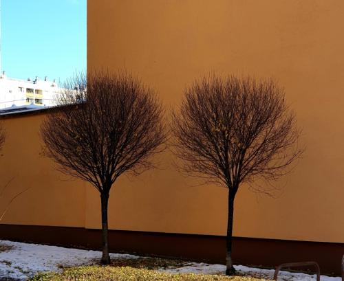 Ketten - Gyimóthy Gábor (fotó)