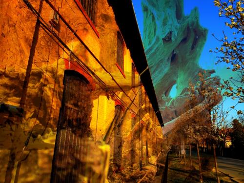 Mutáció - Gyimóthy Gábor (fotó)