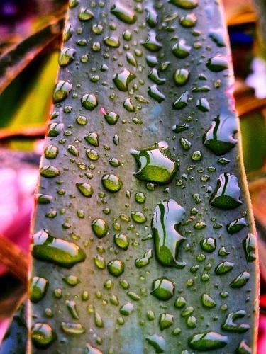 Na végre! - Gyimóthy Gábor (fotó)